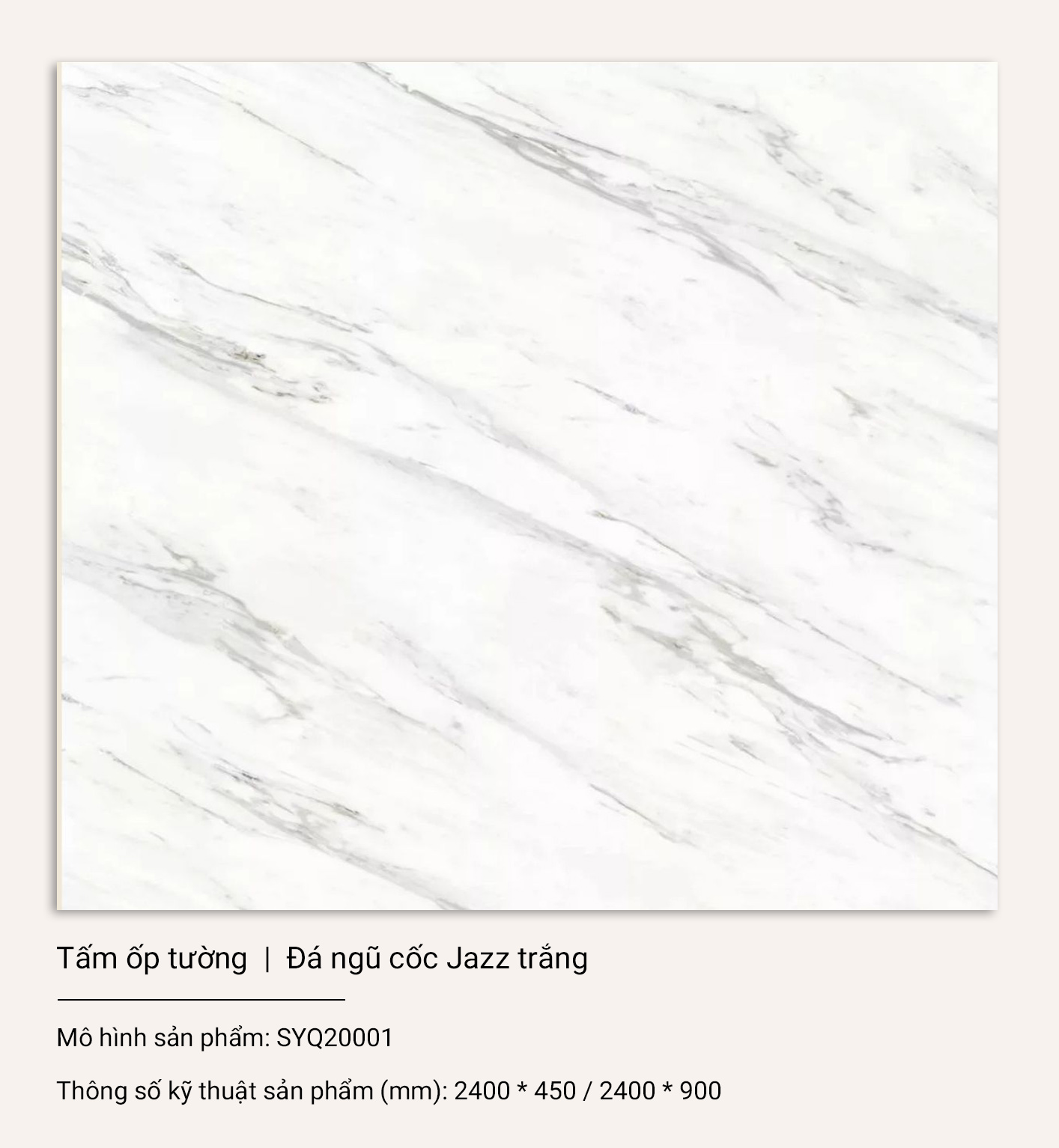 19 1